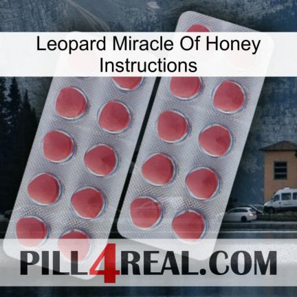 Leopard Miracle Of Honey Instructions 19